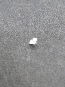 ルースダイヤ 買取