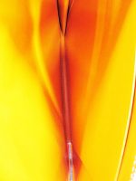 ゴヤール ソルボンヌ内側